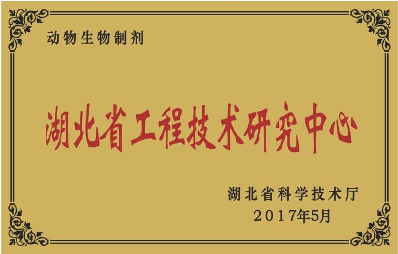 推女郎松果三点尽露视频
