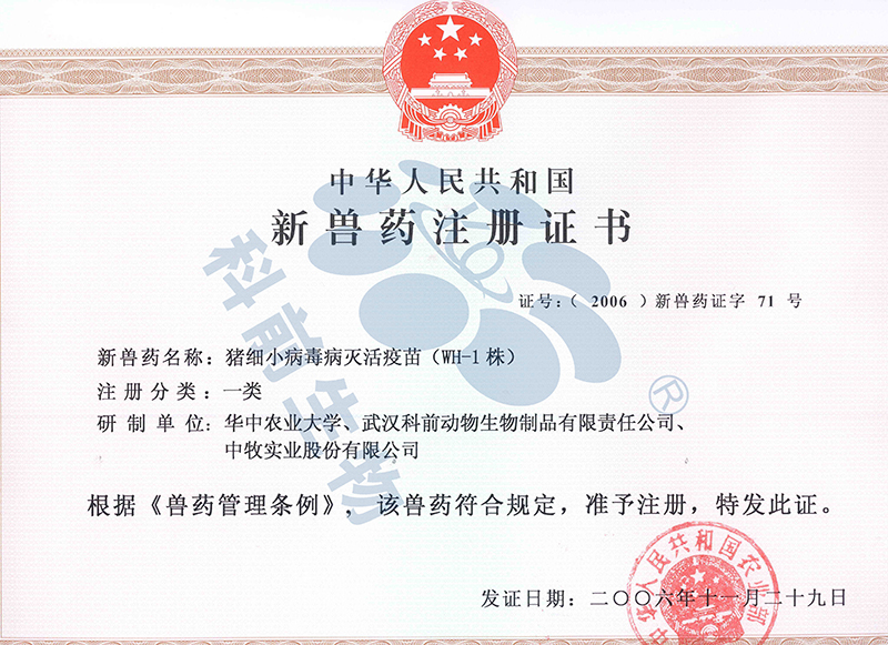 推女郎松果三点尽露视频