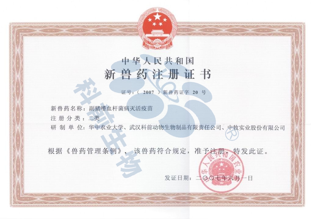 推女郎松果三点尽露视频