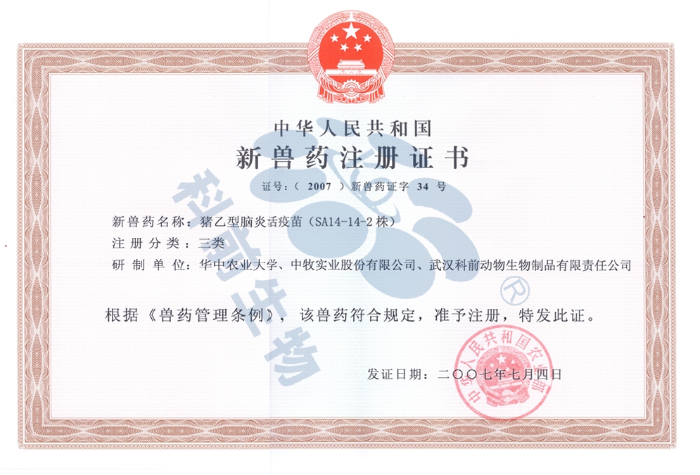 推女郎松果三点尽露视频