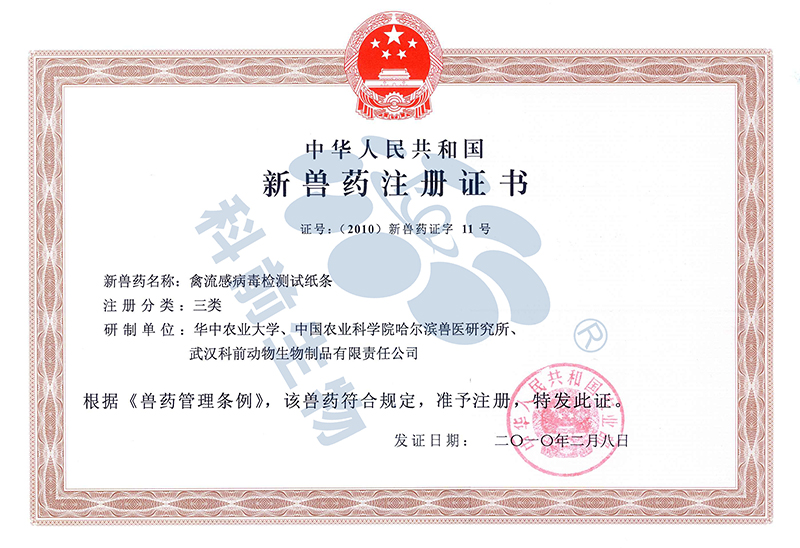 推女郎松果三点尽露视频