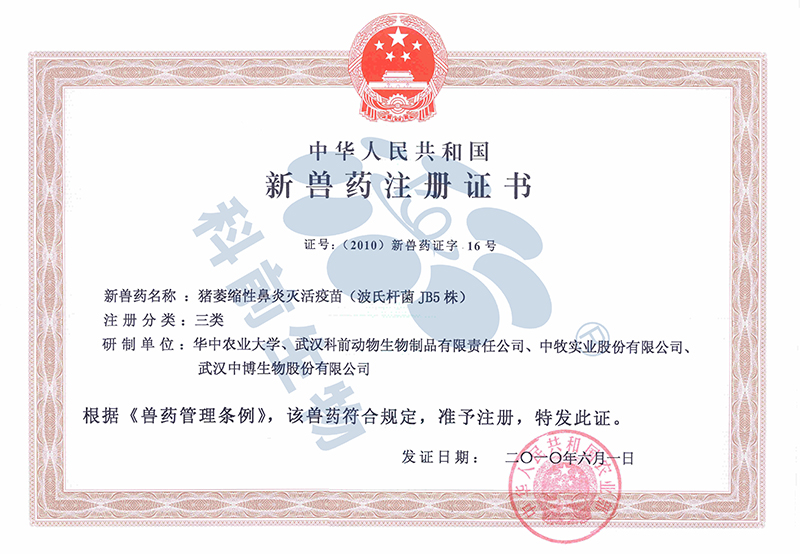 推女郎松果三点尽露视频