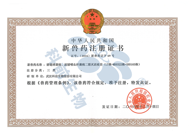 推女郎松果三点尽露视频