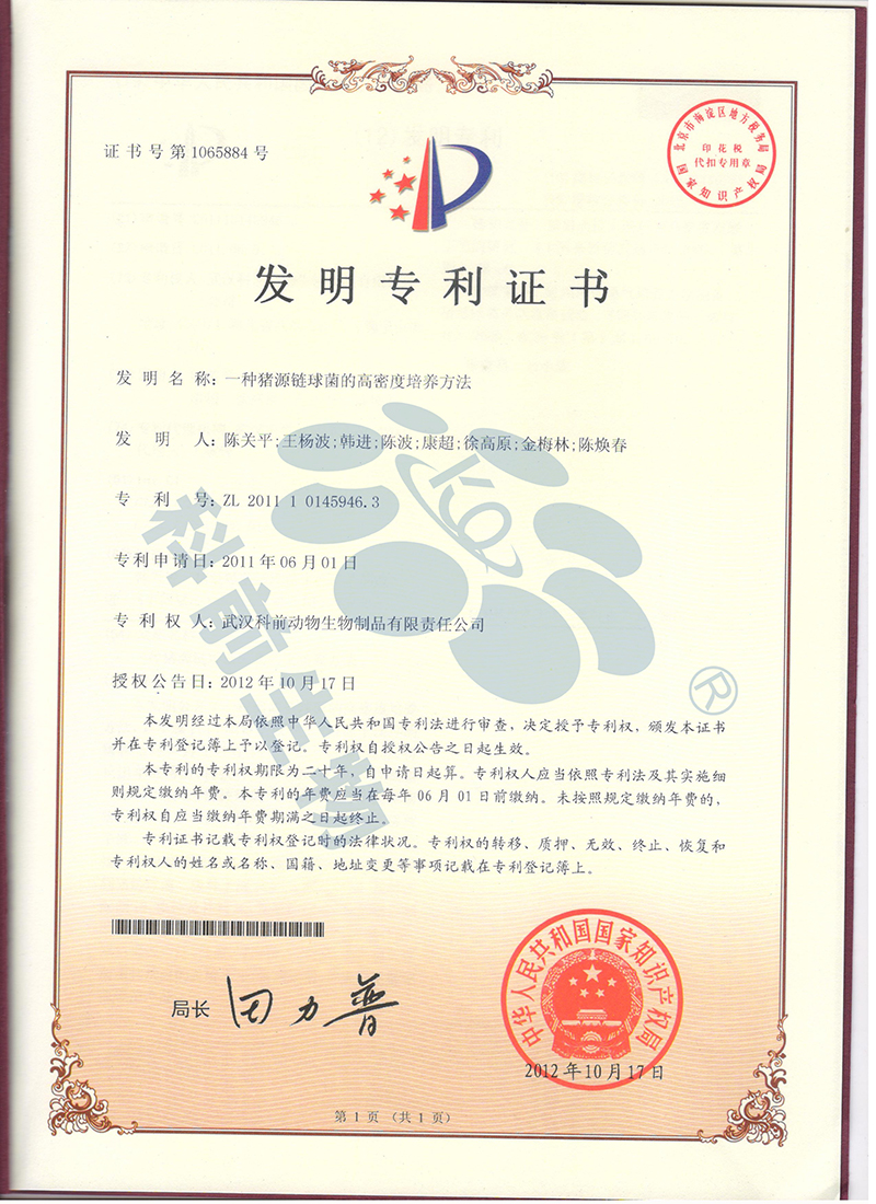 推女郎松果三点尽露视频