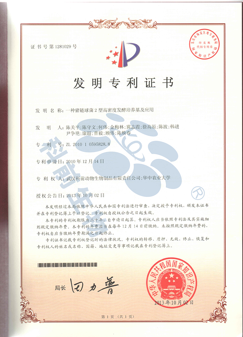 推女郎松果三点尽露视频