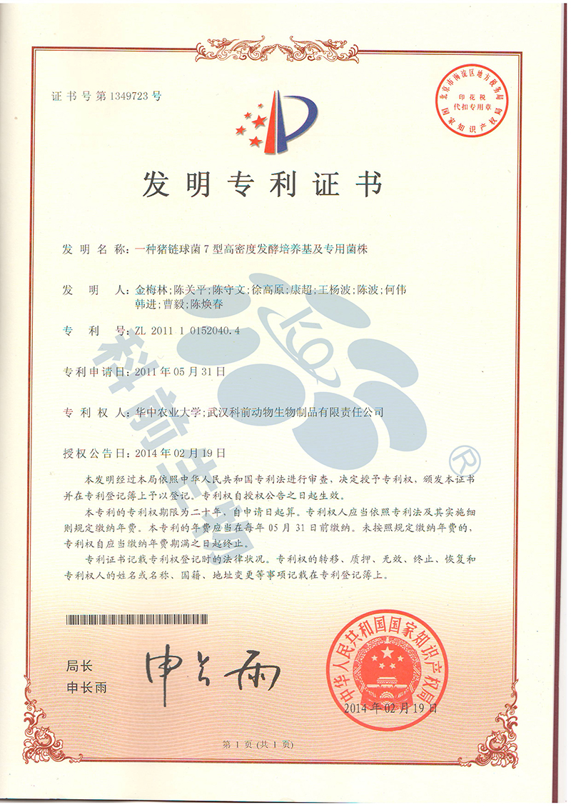 推女郎松果三点尽露视频