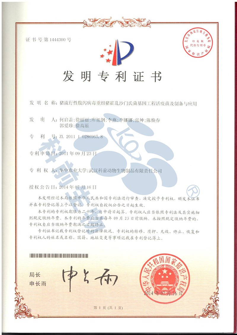 推女郎松果三点尽露视频