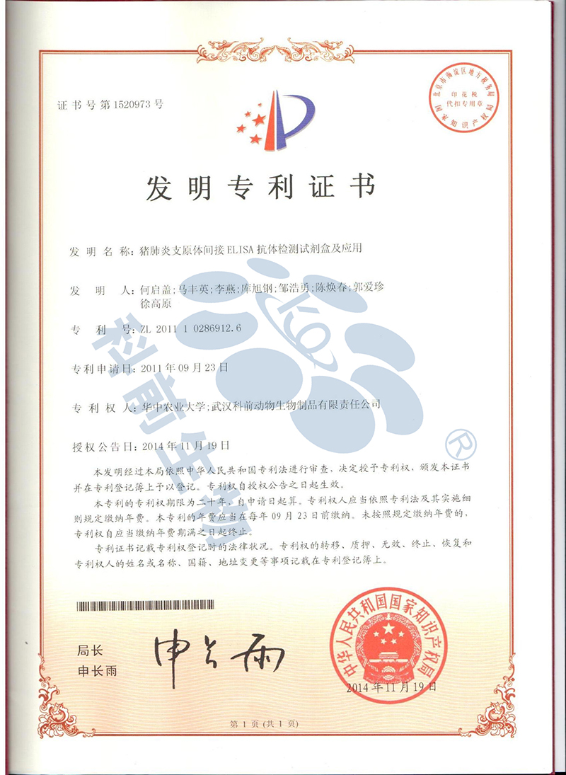 推女郎松果三点尽露视频