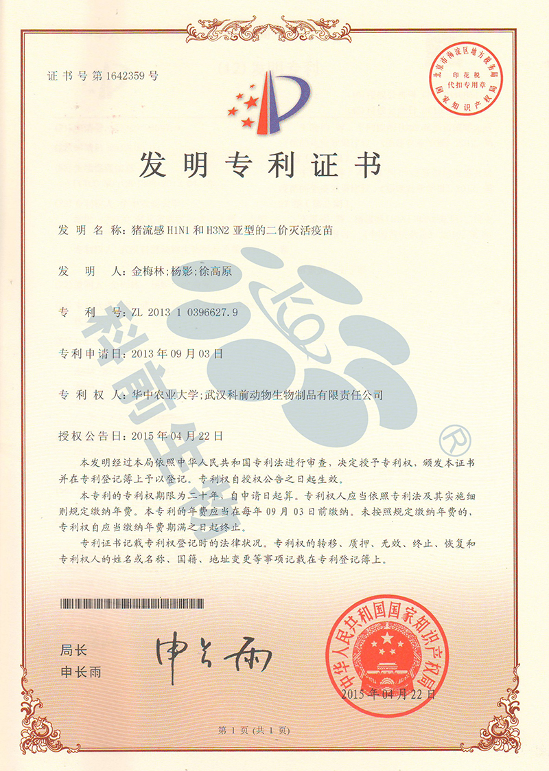 推女郎松果三点尽露视频