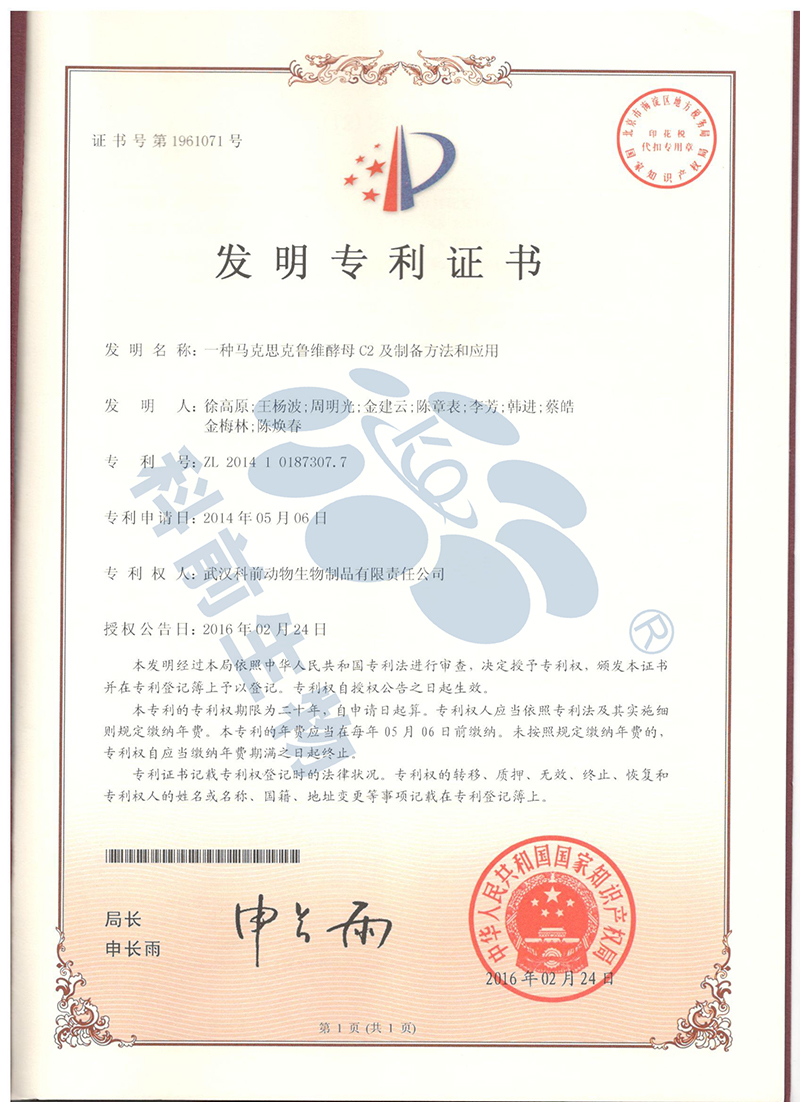 推女郎松果三点尽露视频