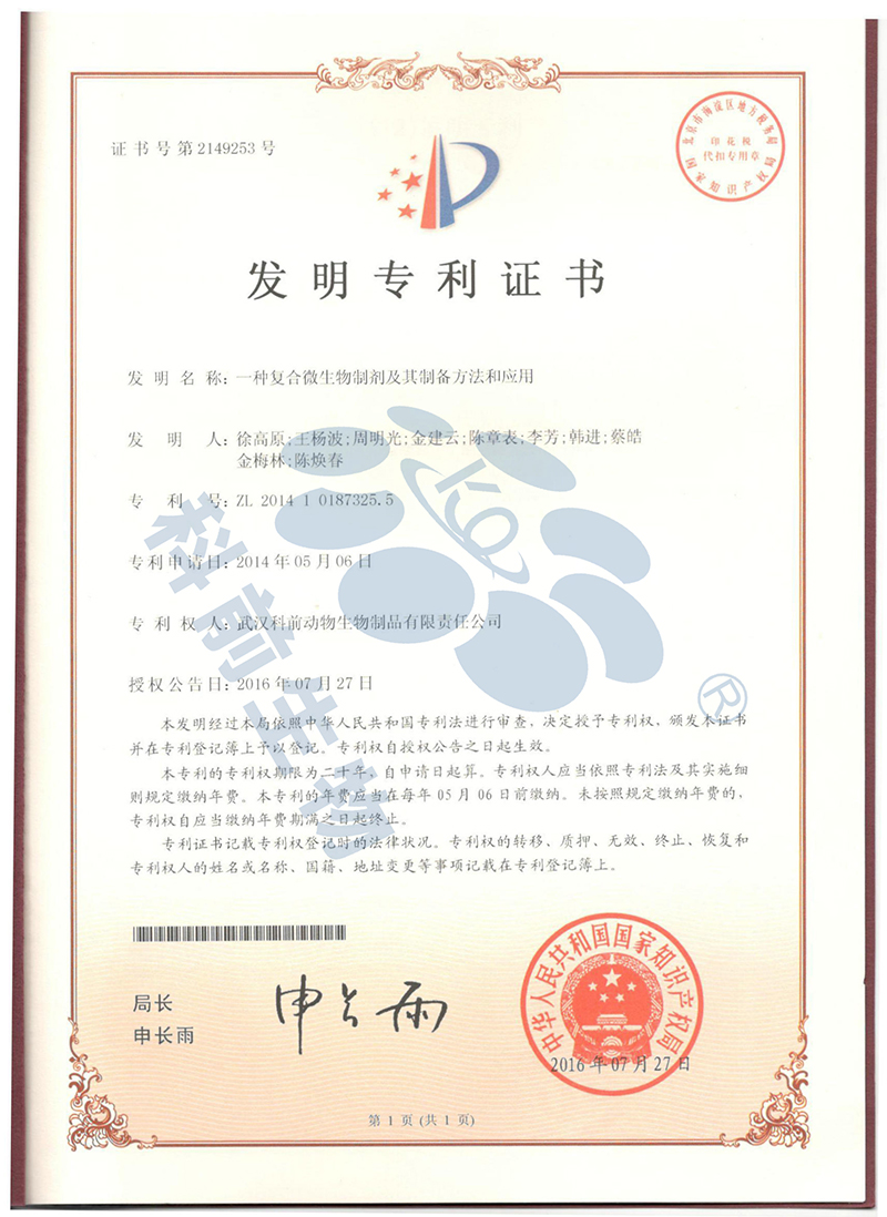推女郎松果三点尽露视频