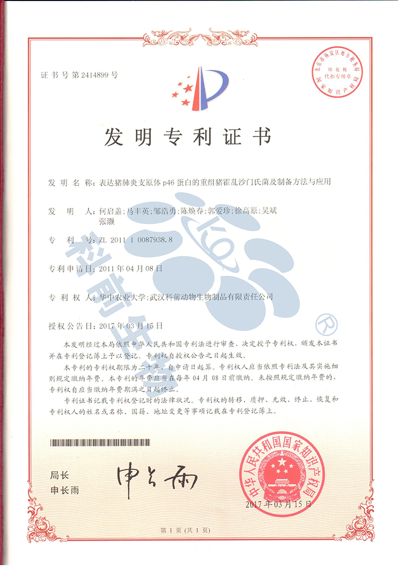 推女郎松果三点尽露视频