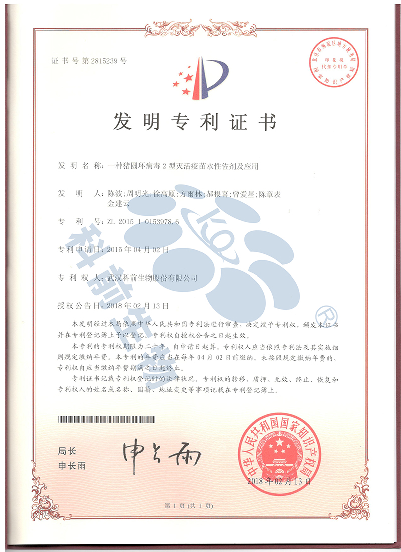 推女郎松果三点尽露视频