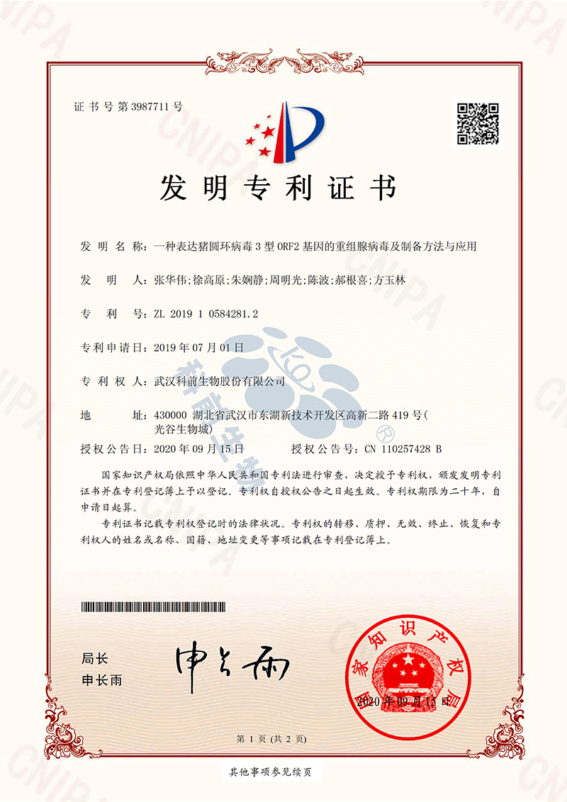 推女郎松果三点尽露视频