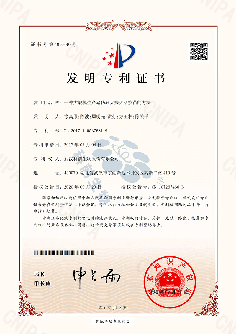 推女郎松果三点尽露视频