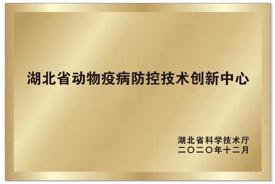 推女郎松果三点尽露视频