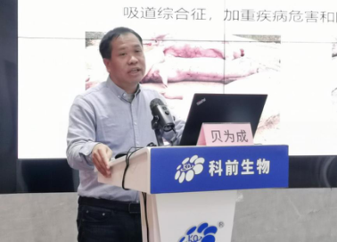 推女郎松果三点尽露视频