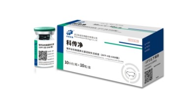 推女郎松果三点尽露视频