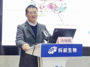 推女郎松果三点尽露视频