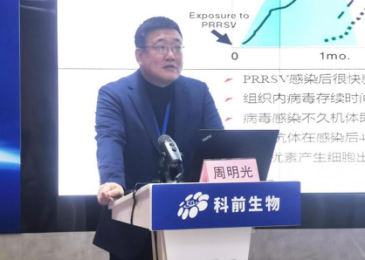 推女郎松果三点尽露视频