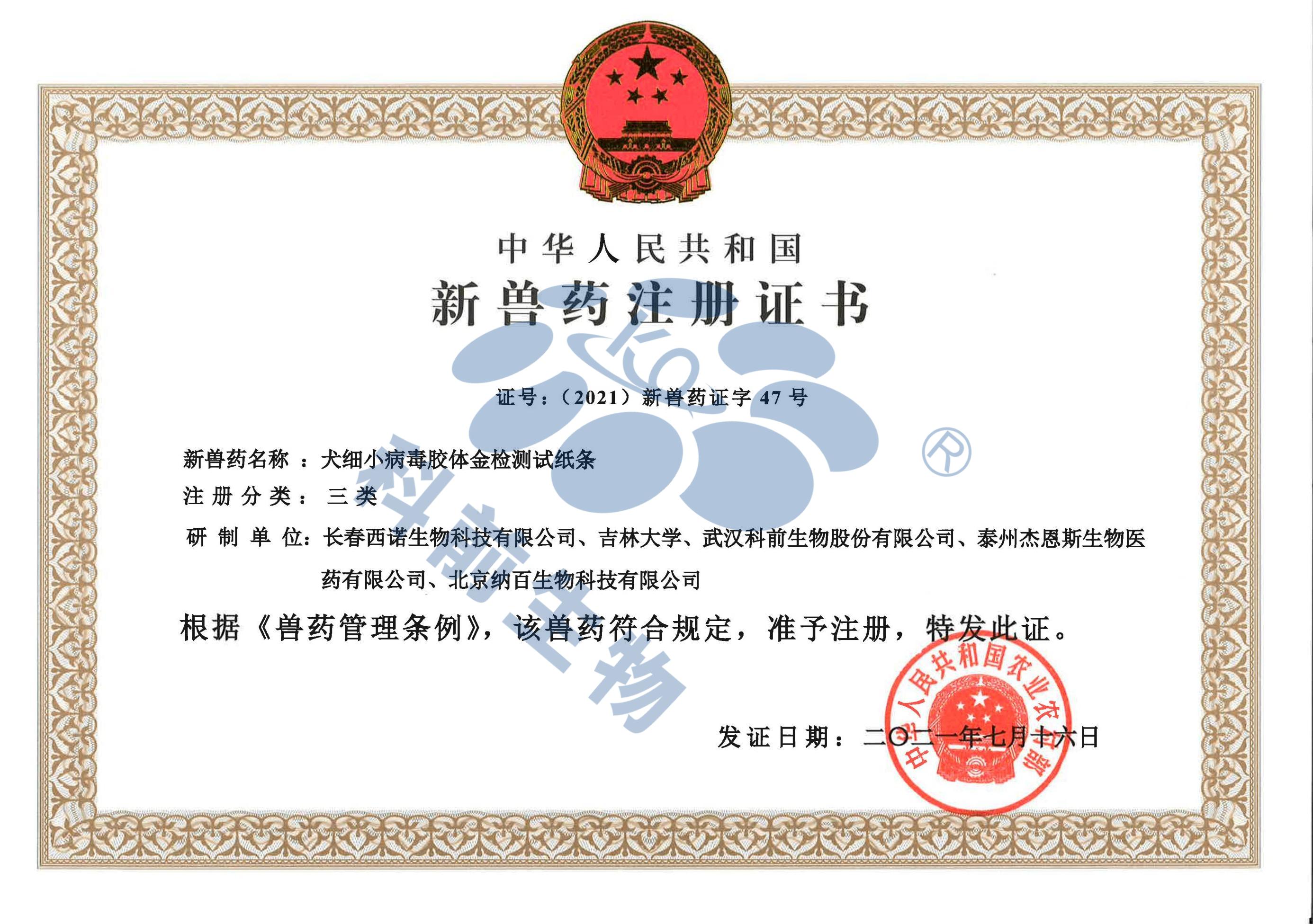 推女郎松果三点尽露视频