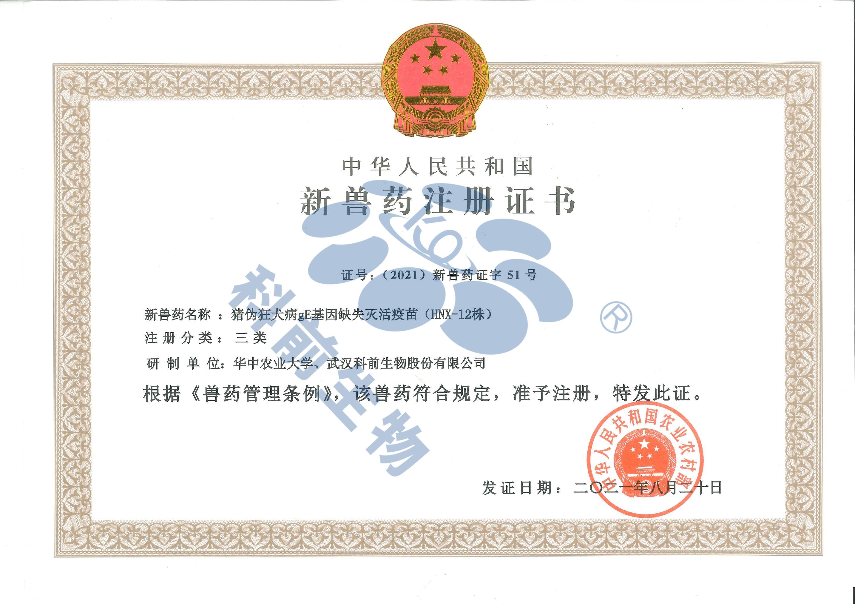 推女郎松果三点尽露视频