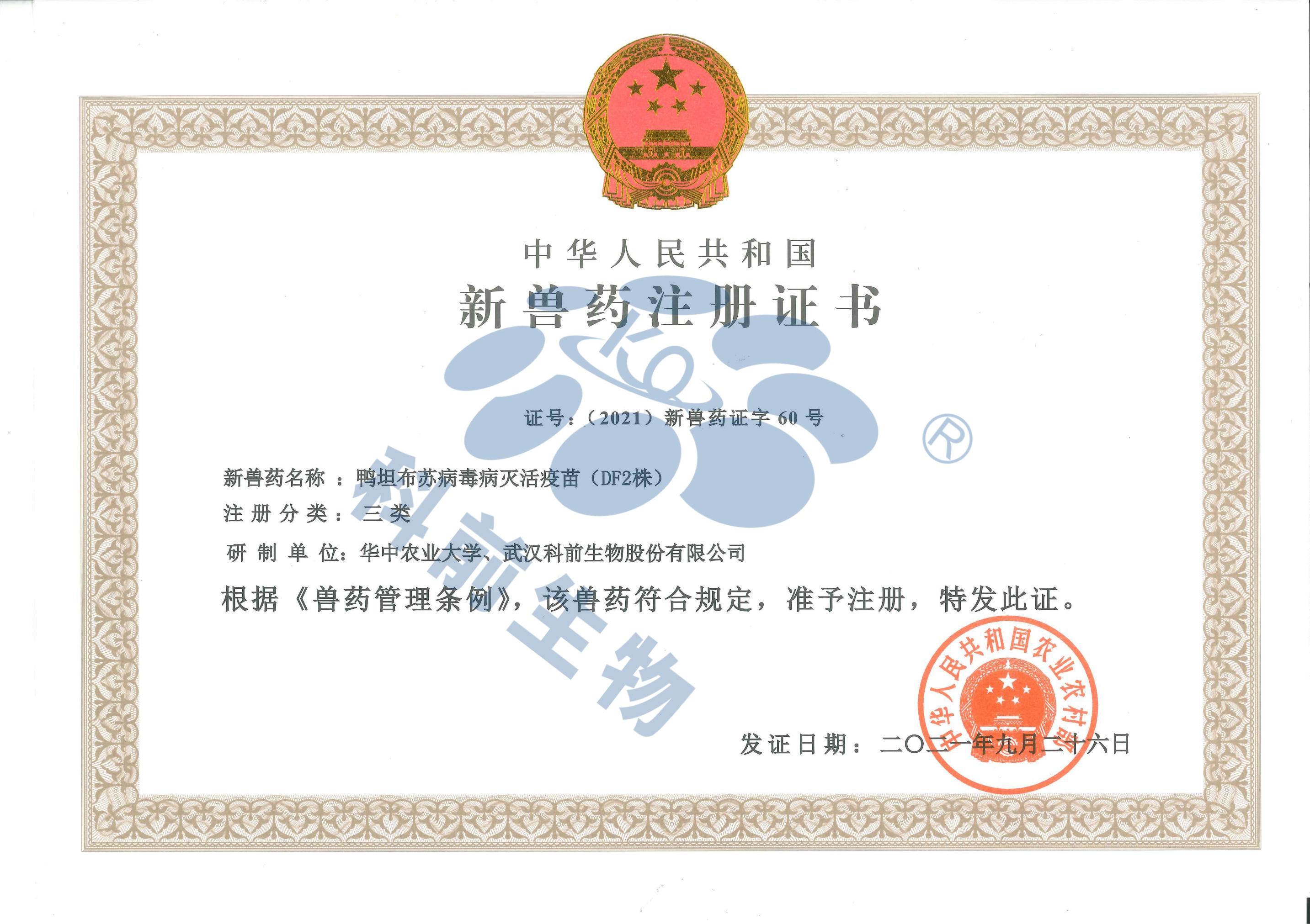 推女郎松果三点尽露视频