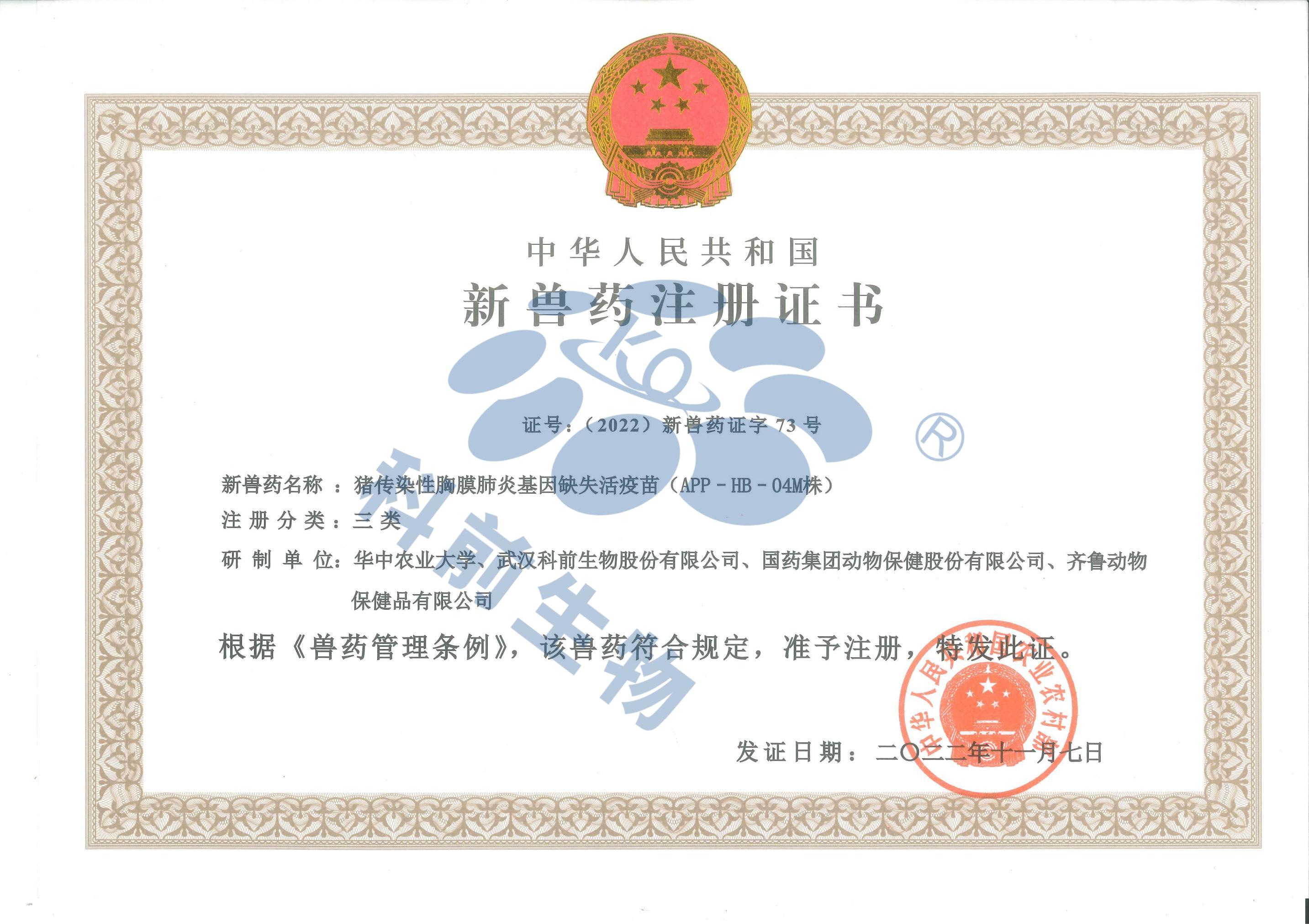 推女郎松果三点尽露视频
