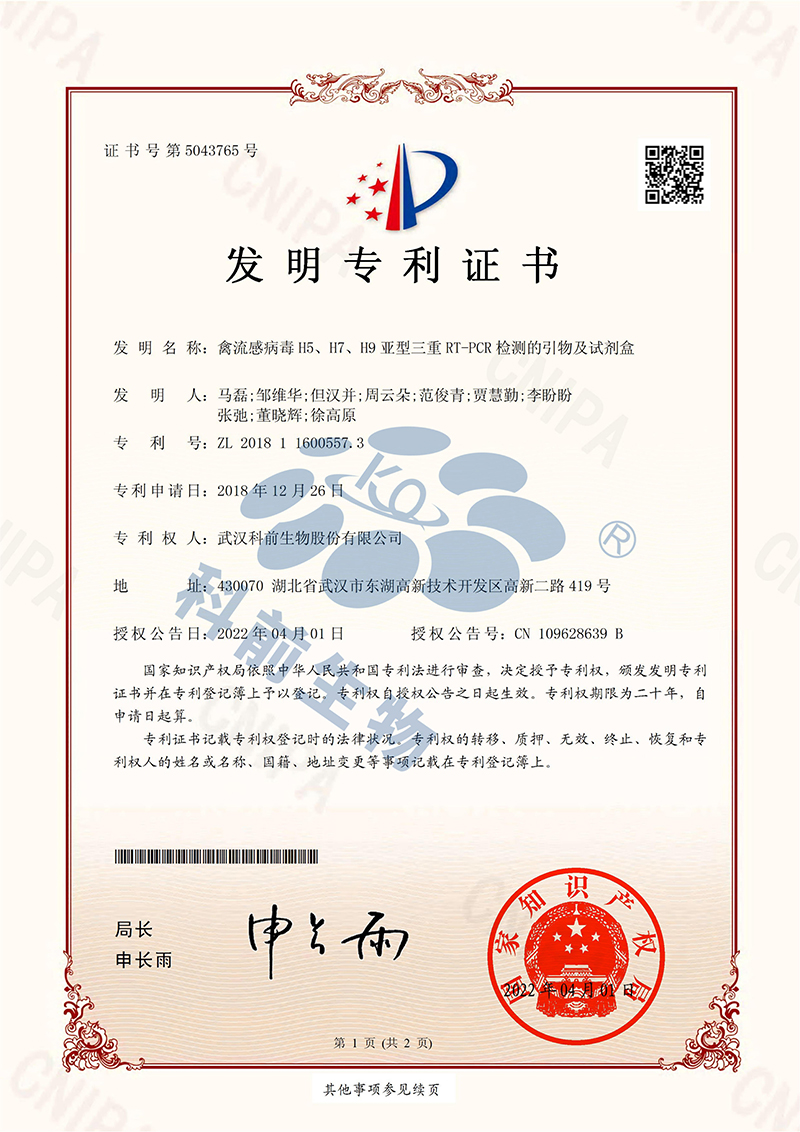 推女郎松果三点尽露视频