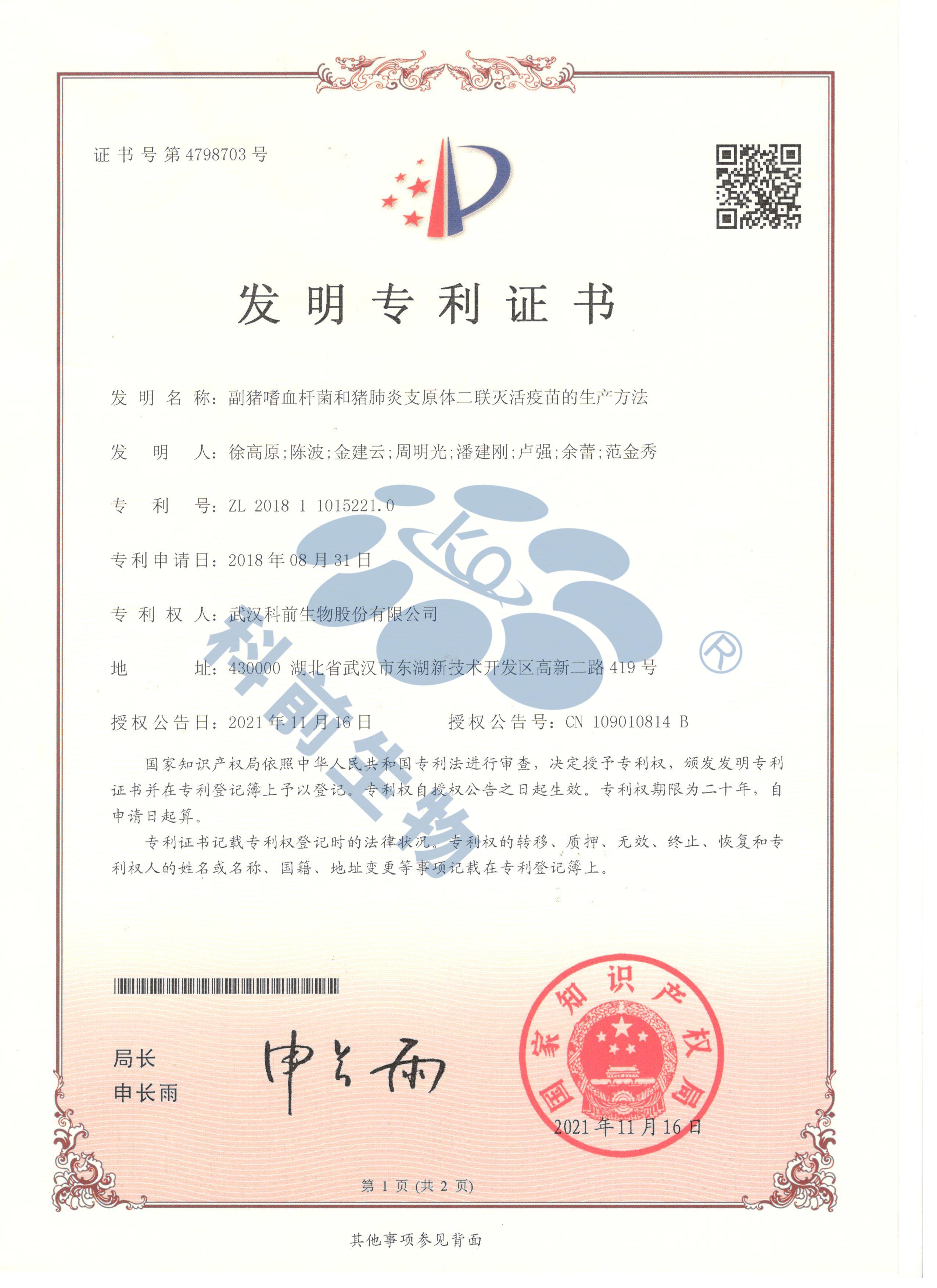 推女郎松果三点尽露视频