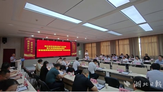 推女郎松果三点尽露视频