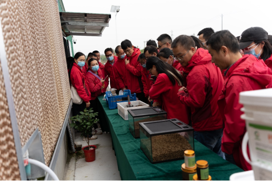 推女郎松果三点尽露视频