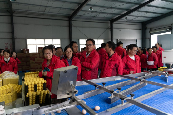 推女郎松果三点尽露视频