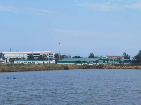 推女郎松果三点尽露视频