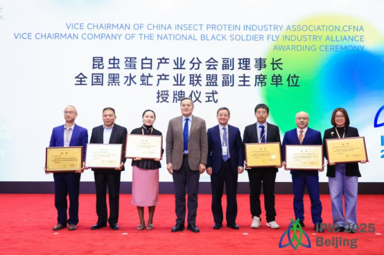 推女郎松果三点尽露视频