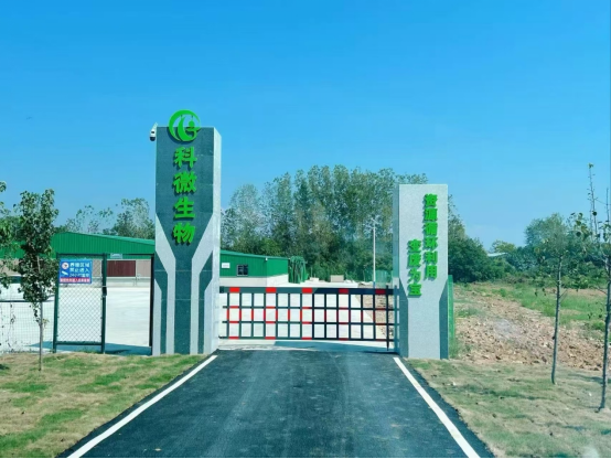 推女郎松果三点尽露视频