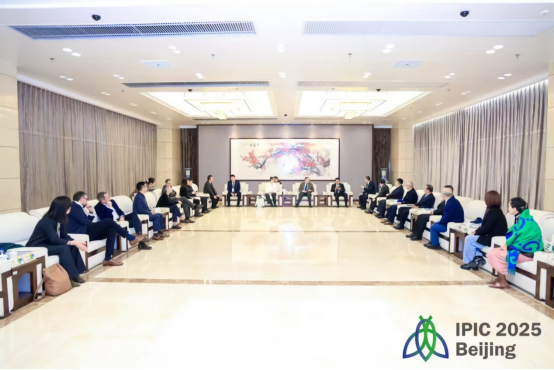 推女郎松果三点尽露视频